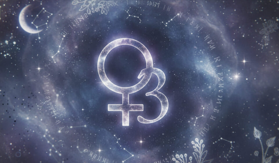 Venus Nhà 3: Sự duyên dáng tự nhiên trong giao tiếp venus nhà 3 venus in the 3rd house ký hiệu sao kim và số 3